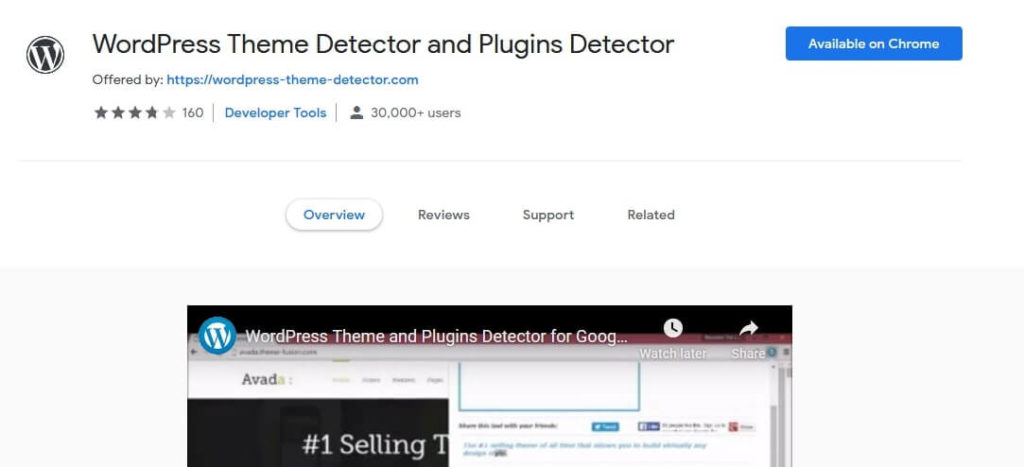 WordPress Theme Detector and Plugins Detector